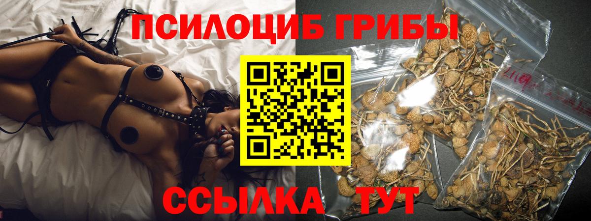 Псилоцибиновые грибы GOLDEN TEACHER  Вход с VPN  Псилоцибиновые грибы Psilocybine cubensis  Гуково 
